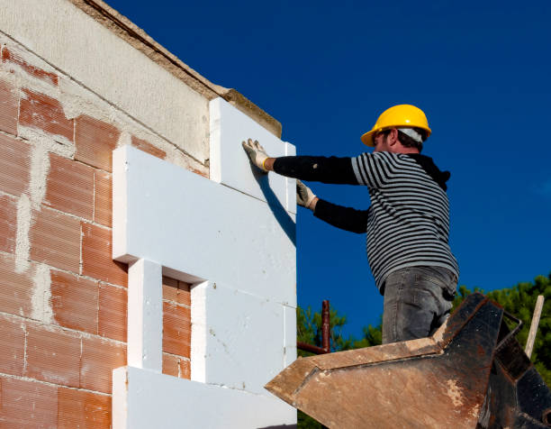 Best Geographic-Specific Insulation Services in Newton, AL