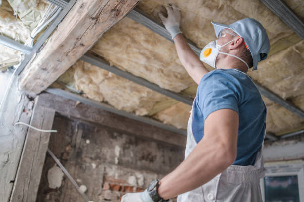 Best DIY Insulation Kits and Guidance in Newton, AL