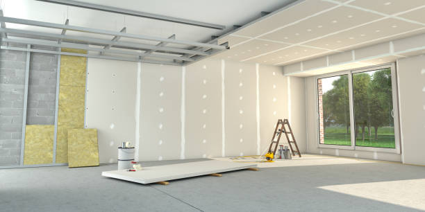 Best Cellulose Insulation in Newton, AL