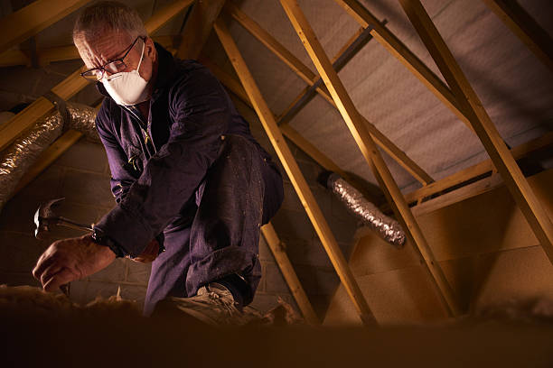 Best Spray Foam Insulation in Newton, AL